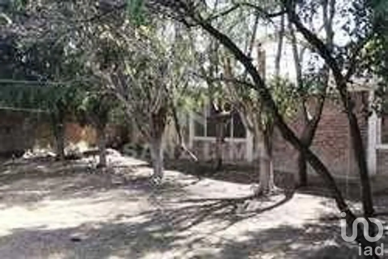 Terreno en Venta en Las Flores, Villagrán, Guanajuato | NEX-267117 | iad México | Foto 8 de 13