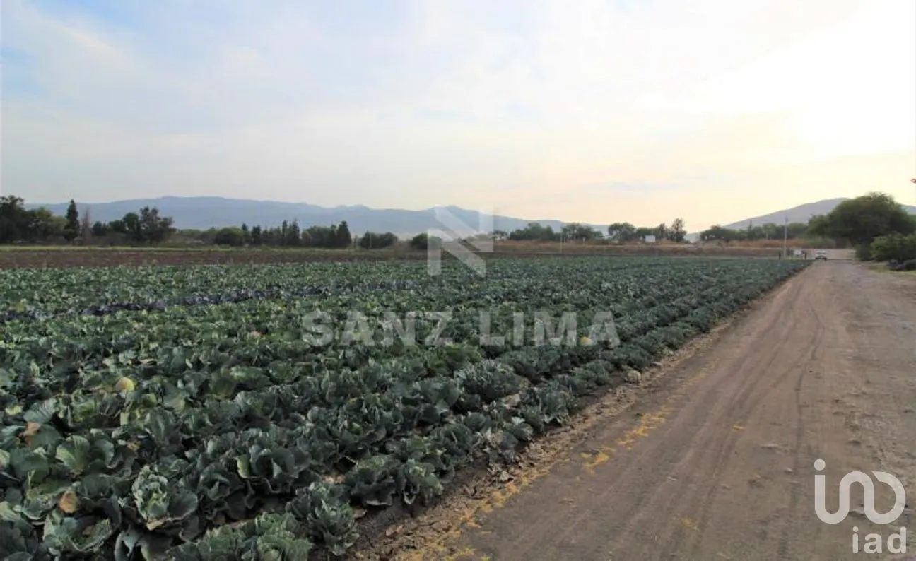 Terreno en Venta en Neutla, Comonfort, Guanajuato | NEX-268180 | iad México | Foto 2 de 24