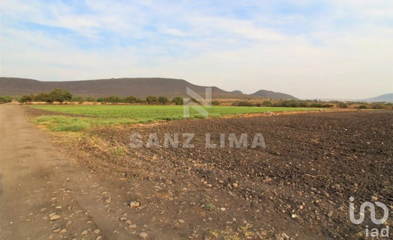 Terreno en Venta en Neutla, Comonfort, Guanajuato | NEX-268180 | iad México | Foto 11 de 24