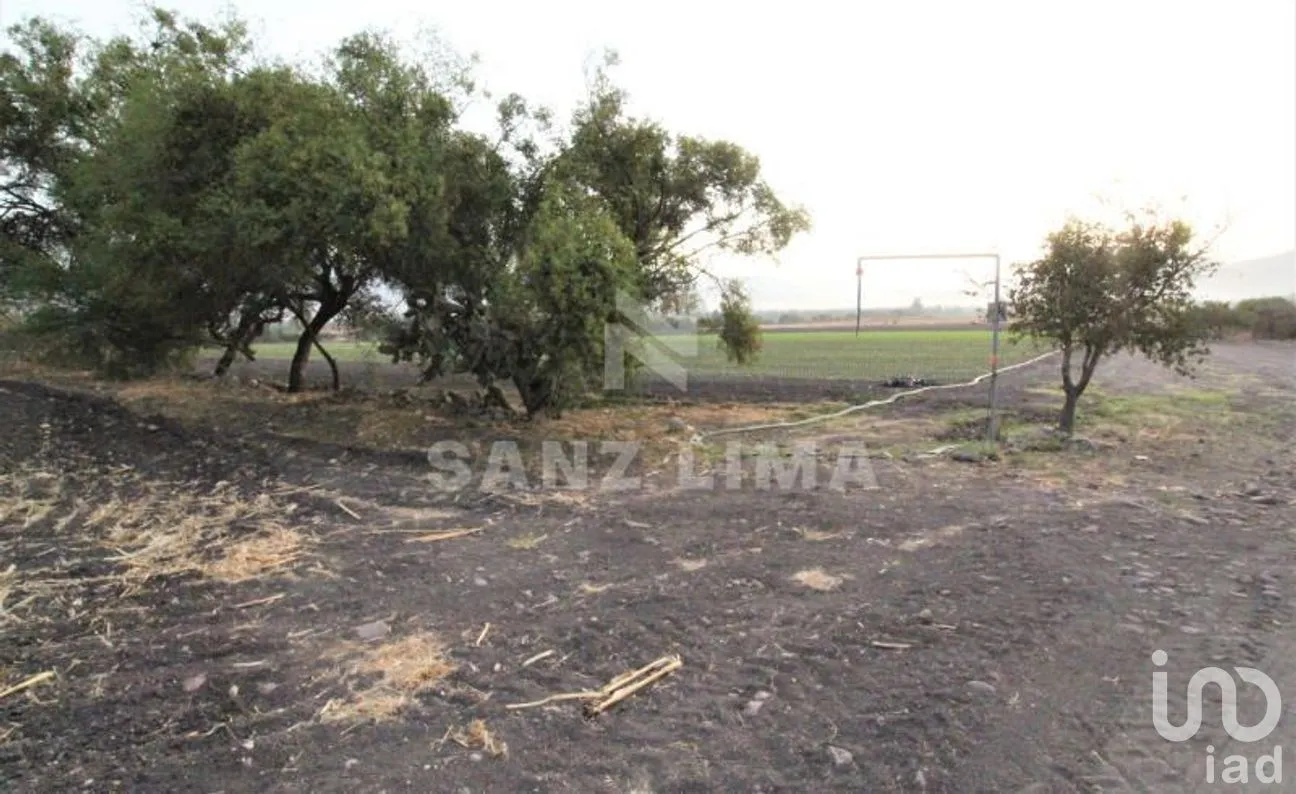 Terreno en Venta en Neutla, Comonfort, Guanajuato | NEX-268180 | iad México | Foto 14 de 24