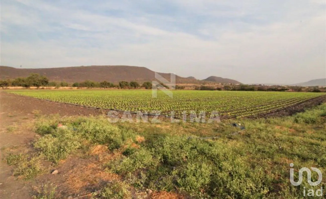 Terreno en Venta en Neutla, Comonfort, Guanajuato | NEX-268180 | iad México | Foto 16 de 24