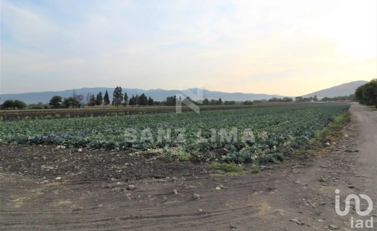 Terreno en Venta en Neutla, Comonfort, Guanajuato | NEX-268180 | iad México | Foto 3 de 24