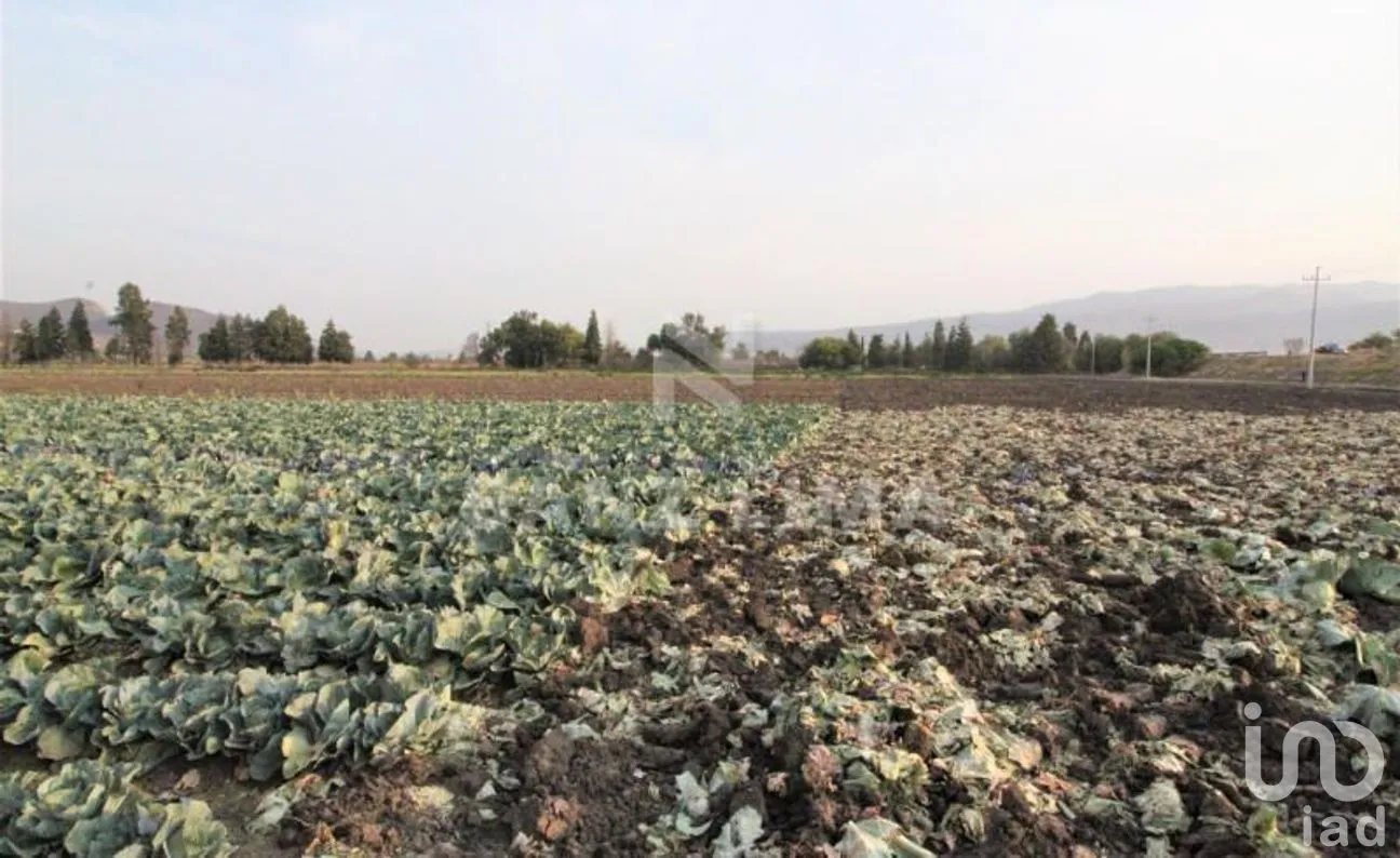 Terreno en Venta en Neutla, Comonfort, Guanajuato | NEX-268180 | iad México | Foto 22 de 24