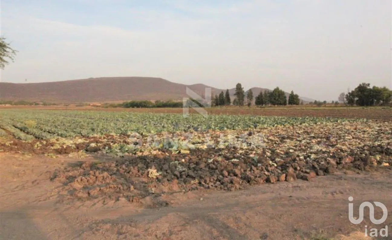 Terreno en Venta en Neutla, Comonfort, Guanajuato | NEX-268180 | iad México | Foto 23 de 24