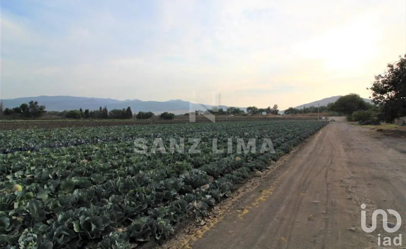 Terreno en Venta en Neutla, Comonfort, Guanajuato | NEX-268180 | iad México | Foto 24 de 24