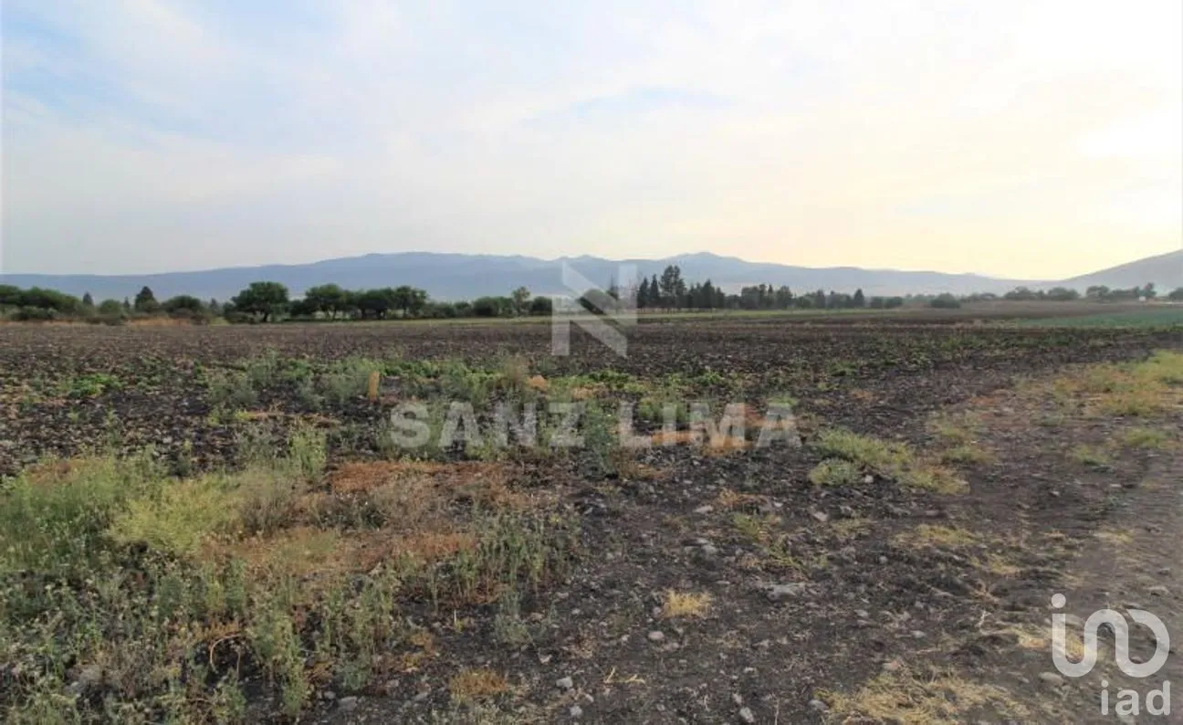 Terreno en Venta en Neutla, Comonfort, Guanajuato | NEX-268180 | iad México | Foto 4 de 24