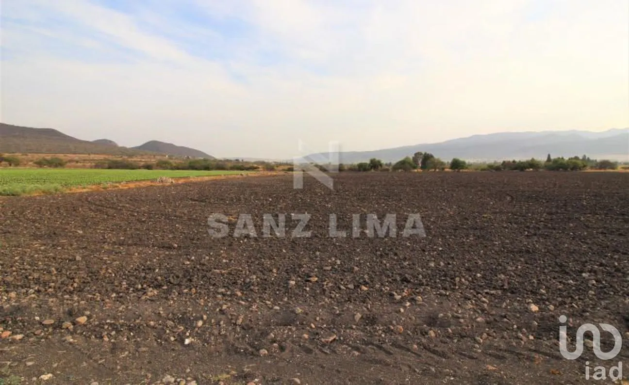 Terreno en Venta en Neutla, Comonfort, Guanajuato | NEX-268180 | iad México | Foto 10 de 24