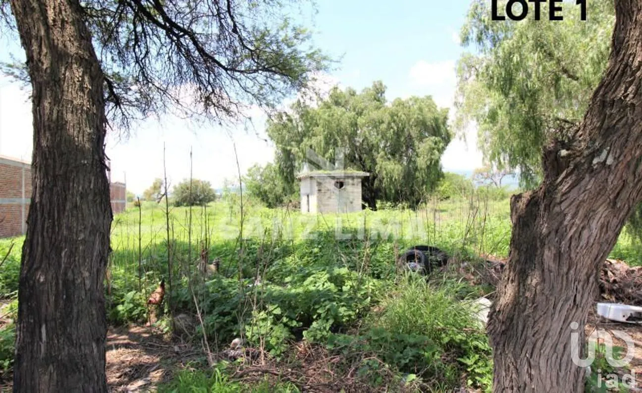 Terreno en Venta en Rancho Seco, Celaya, Guanajuato | NEX-268613 | iad México | Foto 4 de 13