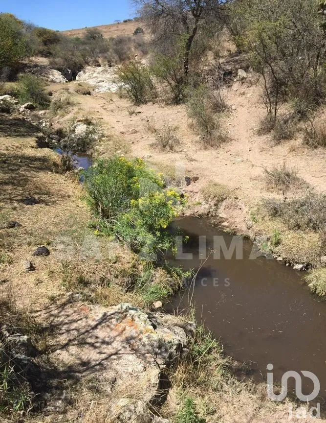 Terreno en Venta en Neutla, Comonfort, Guanajuato | NEX-274721 | iad México | Foto 4 de 8