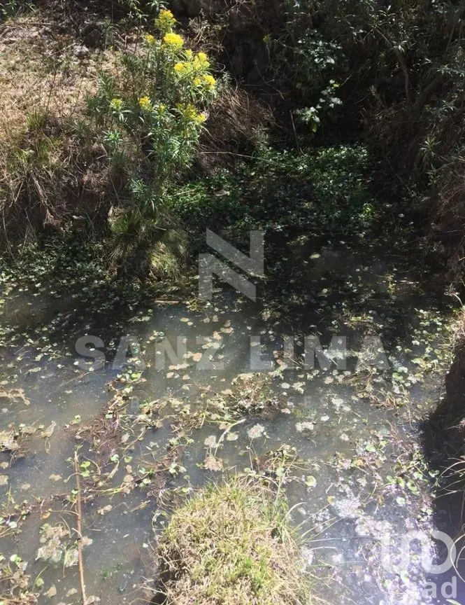 Terreno en Venta en Neutla, Comonfort, Guanajuato | NEX-274721 | iad México | Foto 5 de 8