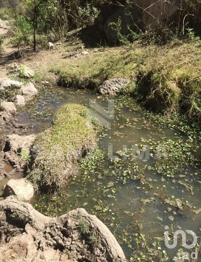 Terreno en Venta en Neutla, Comonfort, Guanajuato | NEX-274721 | iad México | Foto 6 de 8