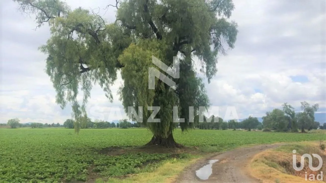 Terreno en Venta en San Juan de La Vega, Celaya, Guanajuato | NEX-276560 | iad México | Foto 3 de 9