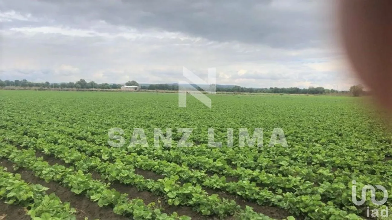 Terreno en Venta en San Juan de La Vega, Celaya, Guanajuato | NEX-276560 | iad México | Foto 4 de 9