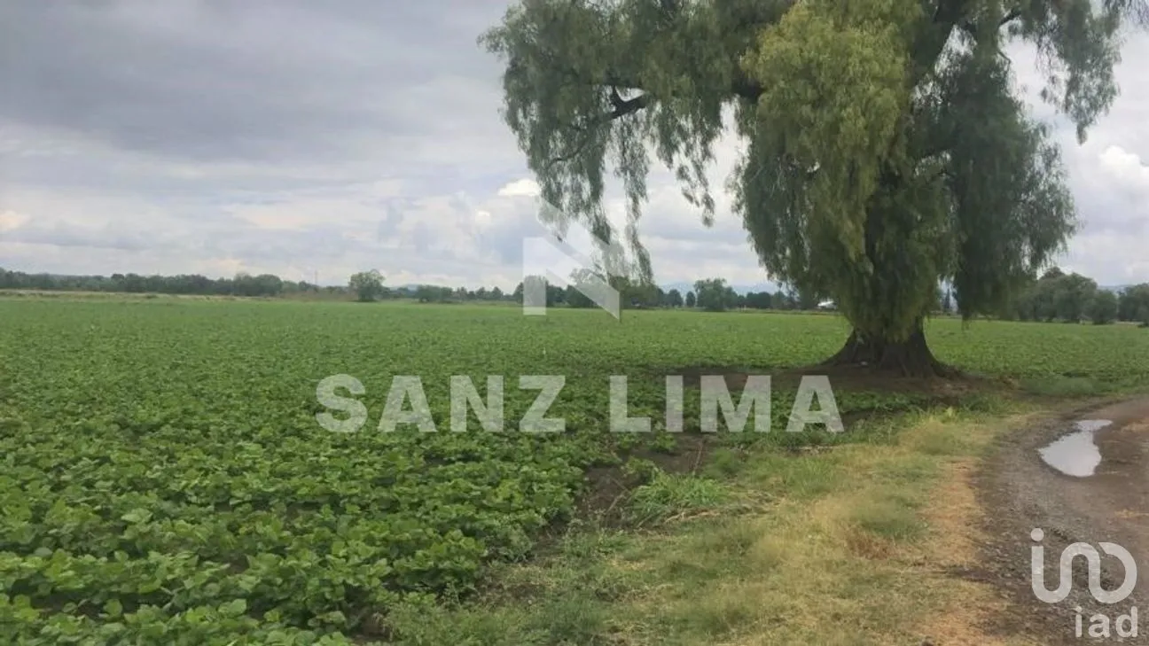 Terreno en Venta en San Juan de La Vega, Celaya, Guanajuato | NEX-276560 | iad México | Foto 5 de 9