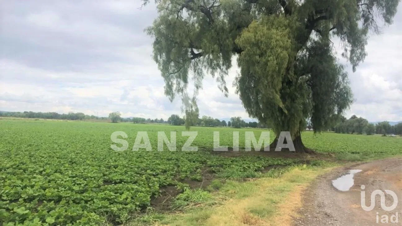 Terreno en Venta en San Juan de La Vega, Celaya, Guanajuato | NEX-276560 | iad México | Foto 7 de 9
