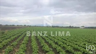 NEX-276560 - Terreno en Venta en San Juan de La Vega, CP 38100, Guanajuato.