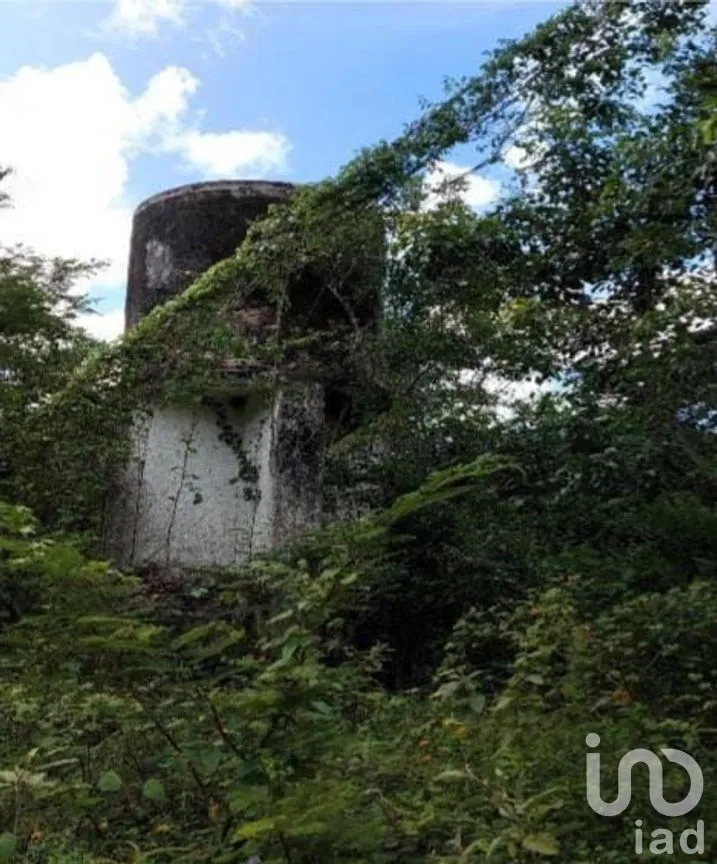 Terreno en Venta en Libre Unión, Yaxcabá, Yucatán | NEX-275230 | iad México | Foto 2 de 14