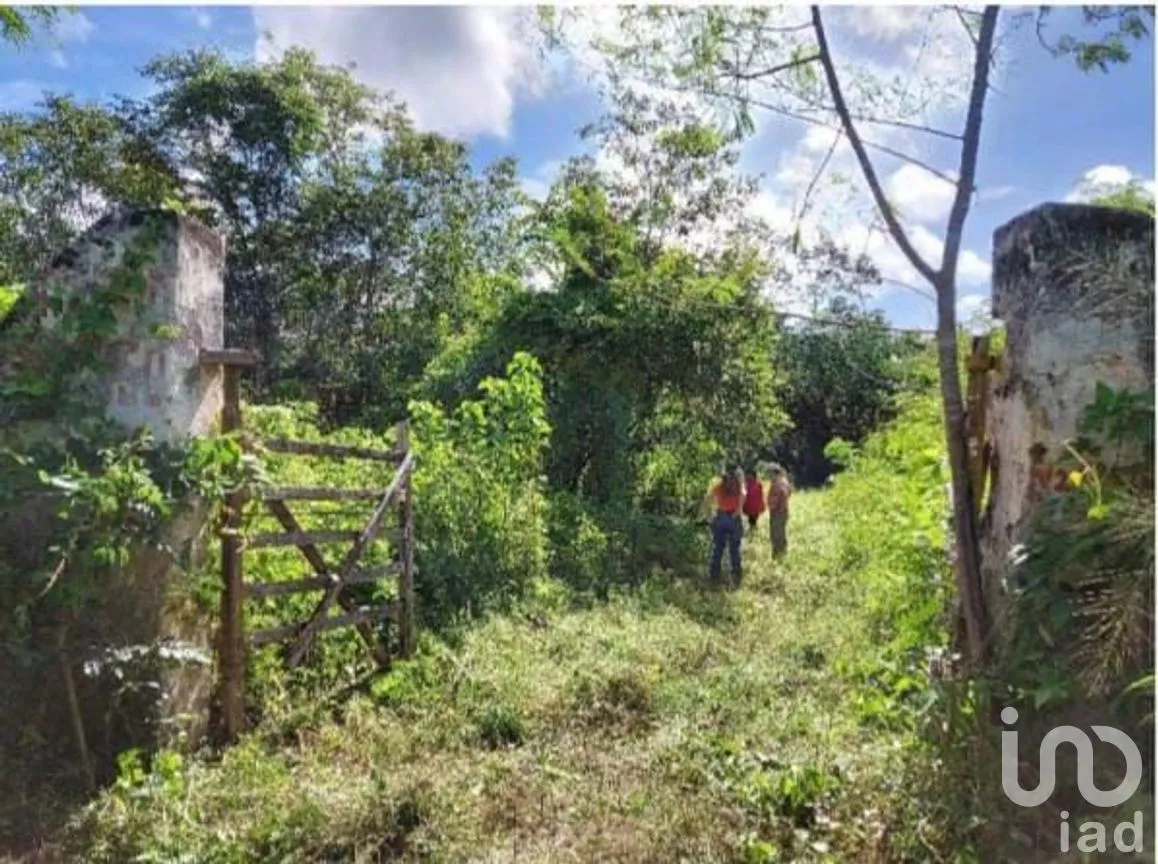 Terreno en Venta en Libre Unión, Yaxcabá, Yucatán | NEX-275230 | iad México | Foto 12 de 14