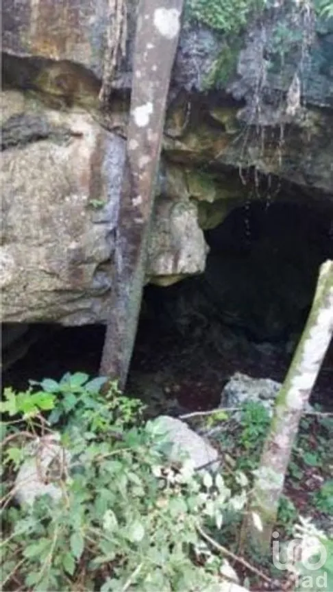 Terreno en Venta en Libre Unión, Yaxcabá, Yucatán | NEX-275230 | iad México | Foto 14 de 14