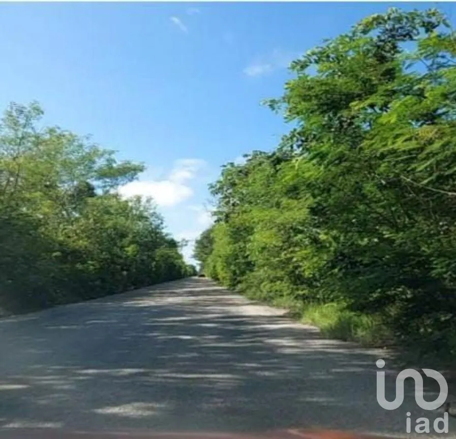 Terreno en Venta en Libre Unión, Yaxcabá, Yucatán | NEX-275230 | iad México | Foto 7 de 14
