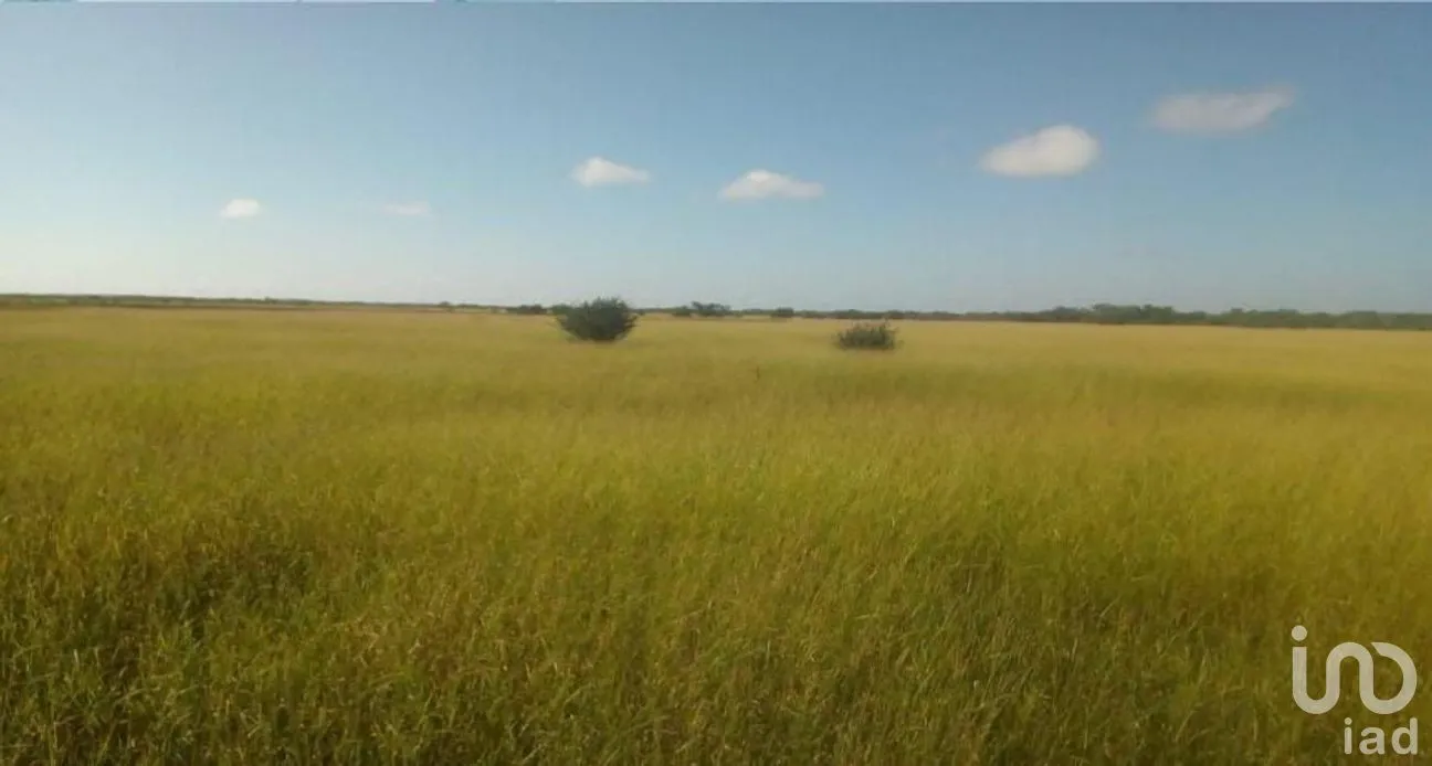 Terreno en Venta en Champotón Centro, Champotón, Campeche | NEX-275231 | iad México | Foto 3 de 8