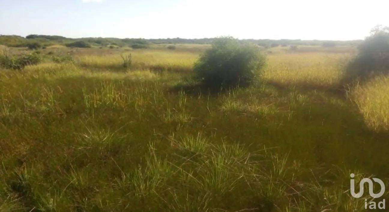 Terreno en Venta en Champotón Centro, Champotón, Campeche | NEX-275231 | iad México | Foto 6 de 8