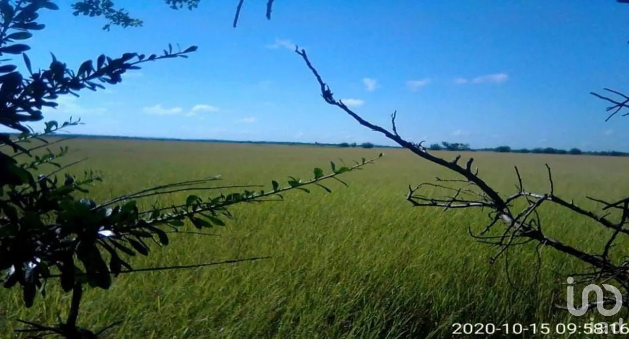 Terreno en Venta en Champotón Centro, Champotón, Campeche | NEX-275231 | iad México | Foto 7 de 8
