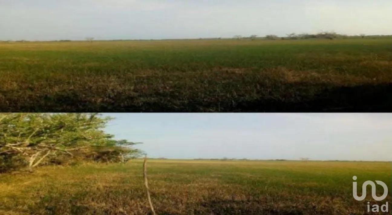 Terreno en Venta en Ciudad del Carmen Centro, Carmen, Campeche | NEX-275235 | iad México | Foto 5 de 8