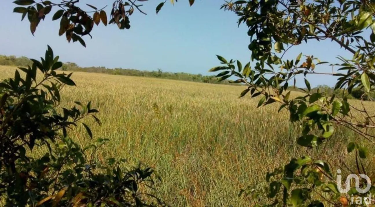 Terreno en Venta en Ciudad del Carmen Centro, Carmen, Campeche | NEX-275235 | iad México | Foto 7 de 8