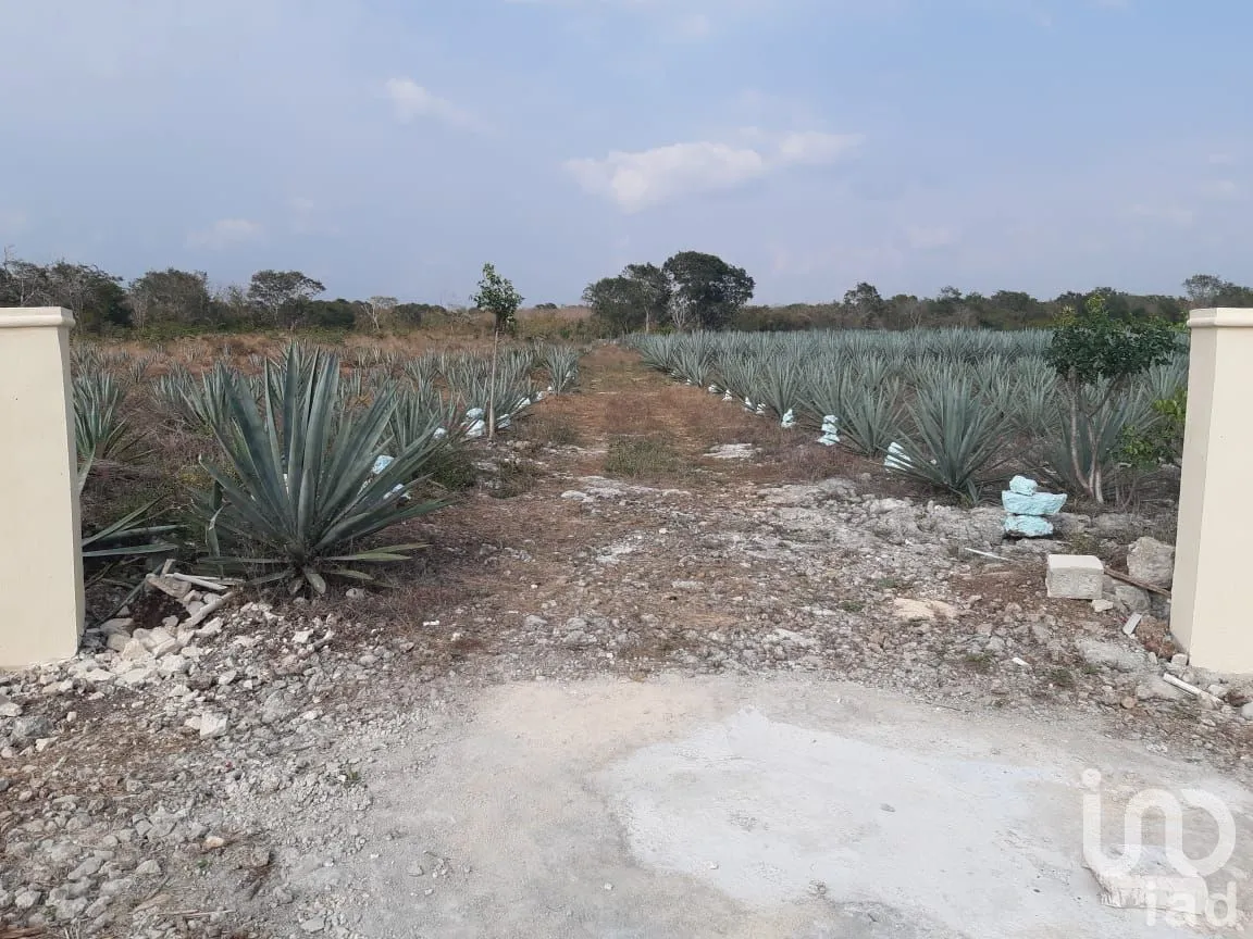 Terreno en Venta en Tetiz, Tetiz, Yucatán | NEX-275236 | iad México | Foto 6 de 12