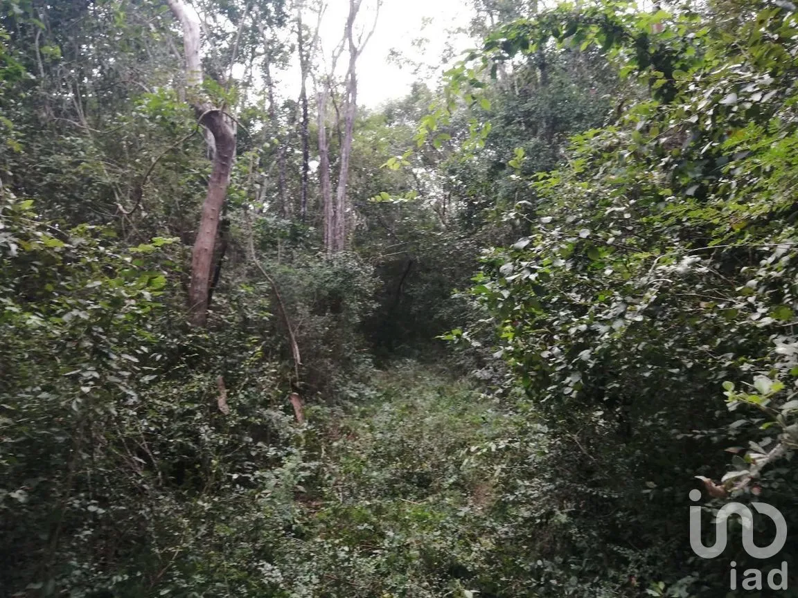 Terreno en Venta en Becanchen, Tekax, Yucatán | NEX-275242 | iad México | Foto 2 de 11