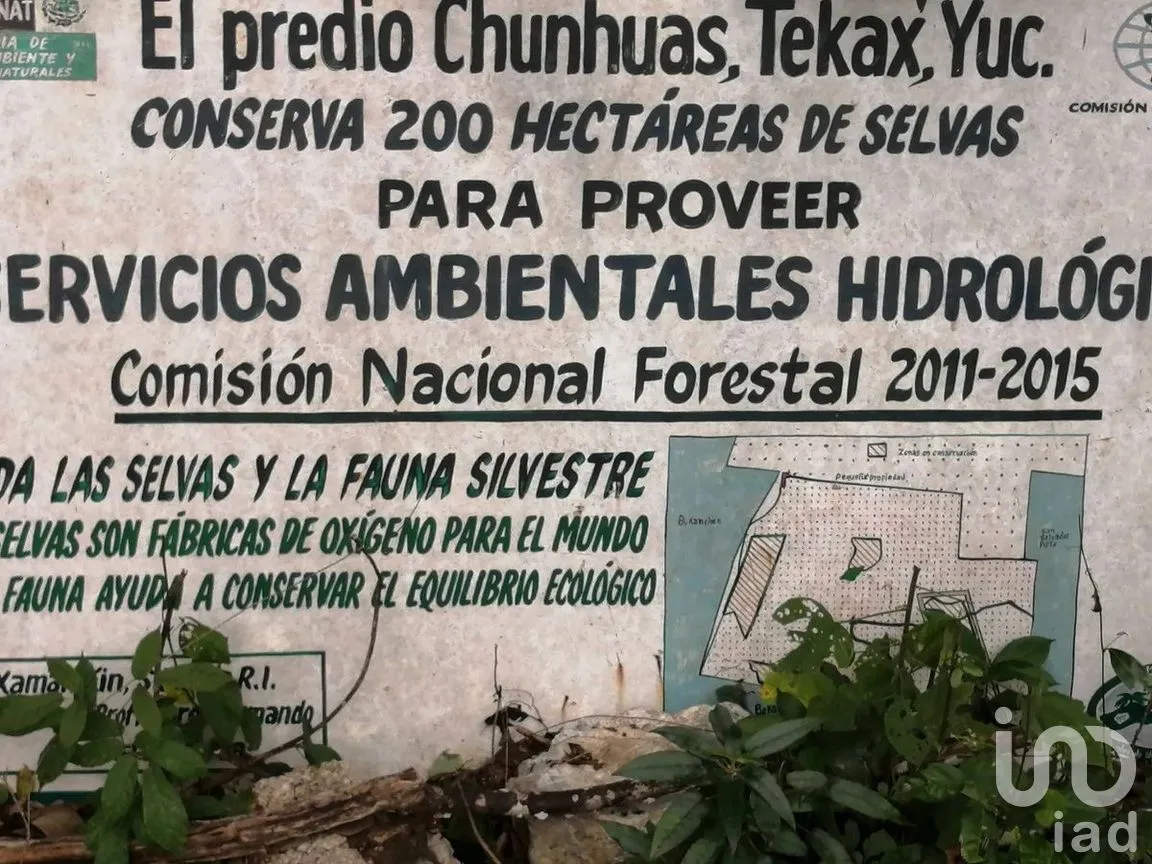 Terreno en Venta en Becanchen, Tekax, Yucatán | NEX-275242 | iad México | Foto 3 de 11