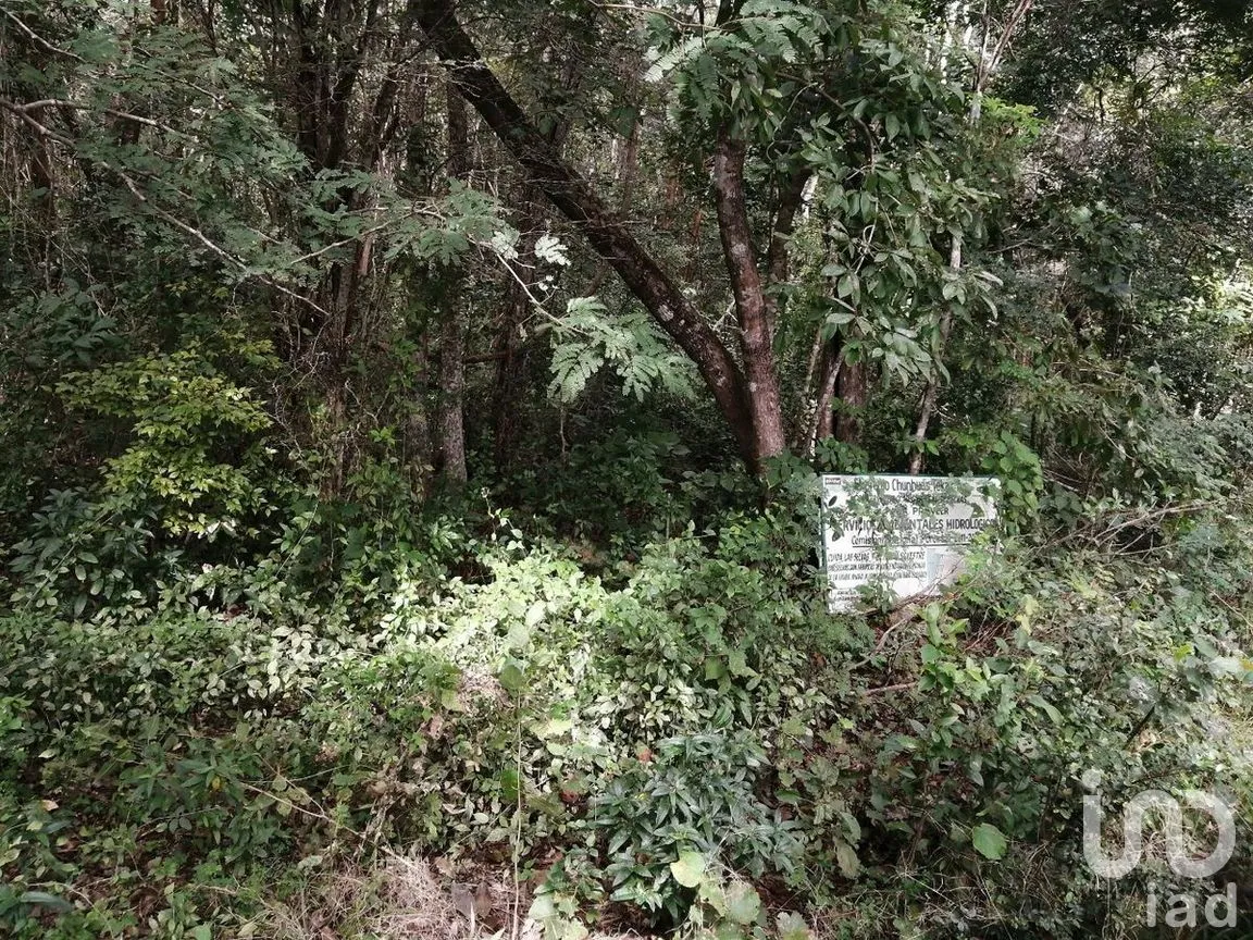 Terreno en Venta en Becanchen, Tekax, Yucatán | NEX-275242 | iad México | Foto 4 de 11