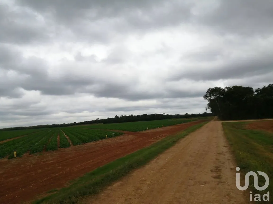 Terreno en Venta en Becanchen, Tekax, Yucatán | NEX-275242 | iad México | Foto 5 de 11