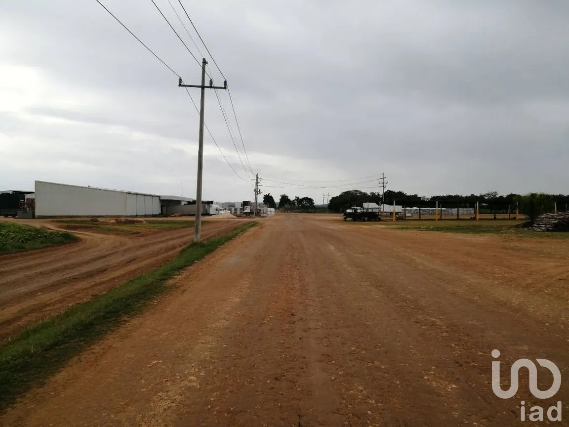 Terreno en Venta en Becanchen, Tekax, Yucatán | NEX-275242 | iad México | Foto 6 de 11