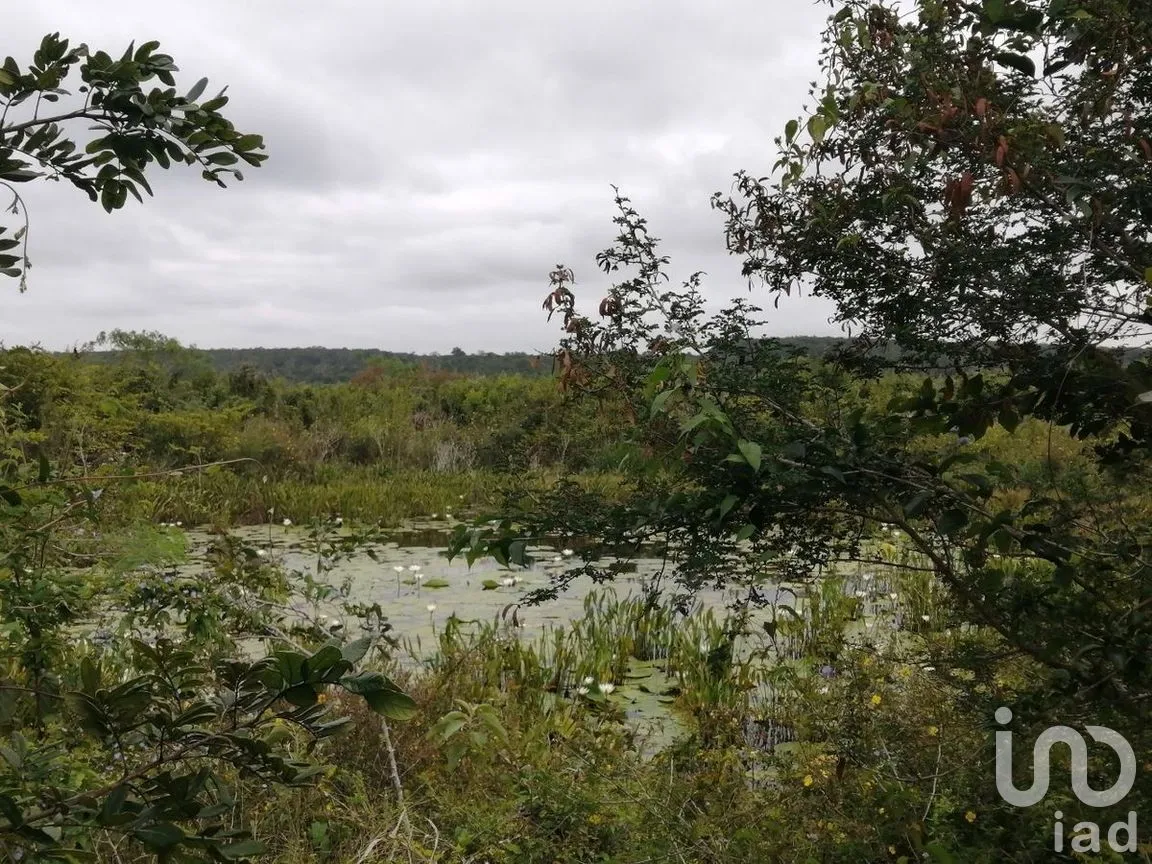 Terreno en Venta en Becanchen, Tekax, Yucatán | NEX-275242 | iad México | Foto 8 de 11