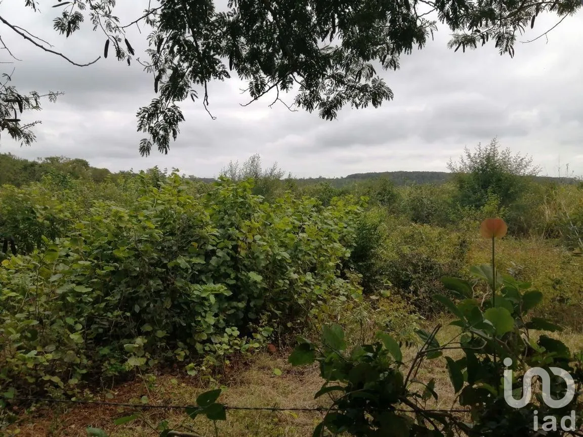 Terreno en Venta en Becanchen, Tekax, Yucatán | NEX-275242 | iad México | Foto 10 de 11