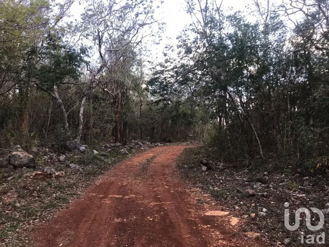 Terreno en Venta en Cenotillo, Cenotillo, Yucatán | NEX-275245 | iad México | Foto 1 de 1