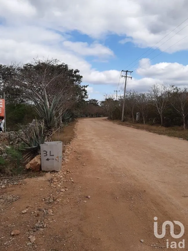 Terreno en Venta en Chicxulub, Chicxulub Pueblo, Yucatán | NEX-275250 | iad México | Foto 4 de 7