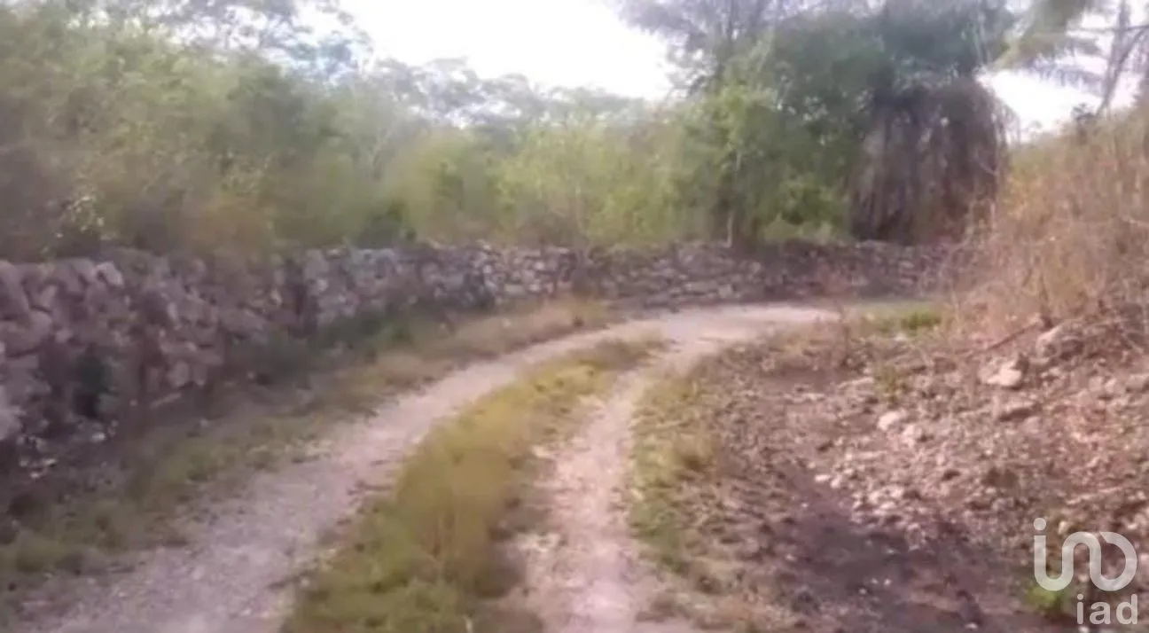 Terreno en Venta en Santa Rosa, Tunkás, Yucatán | NEX-275251 | iad México | Foto 2 de 7