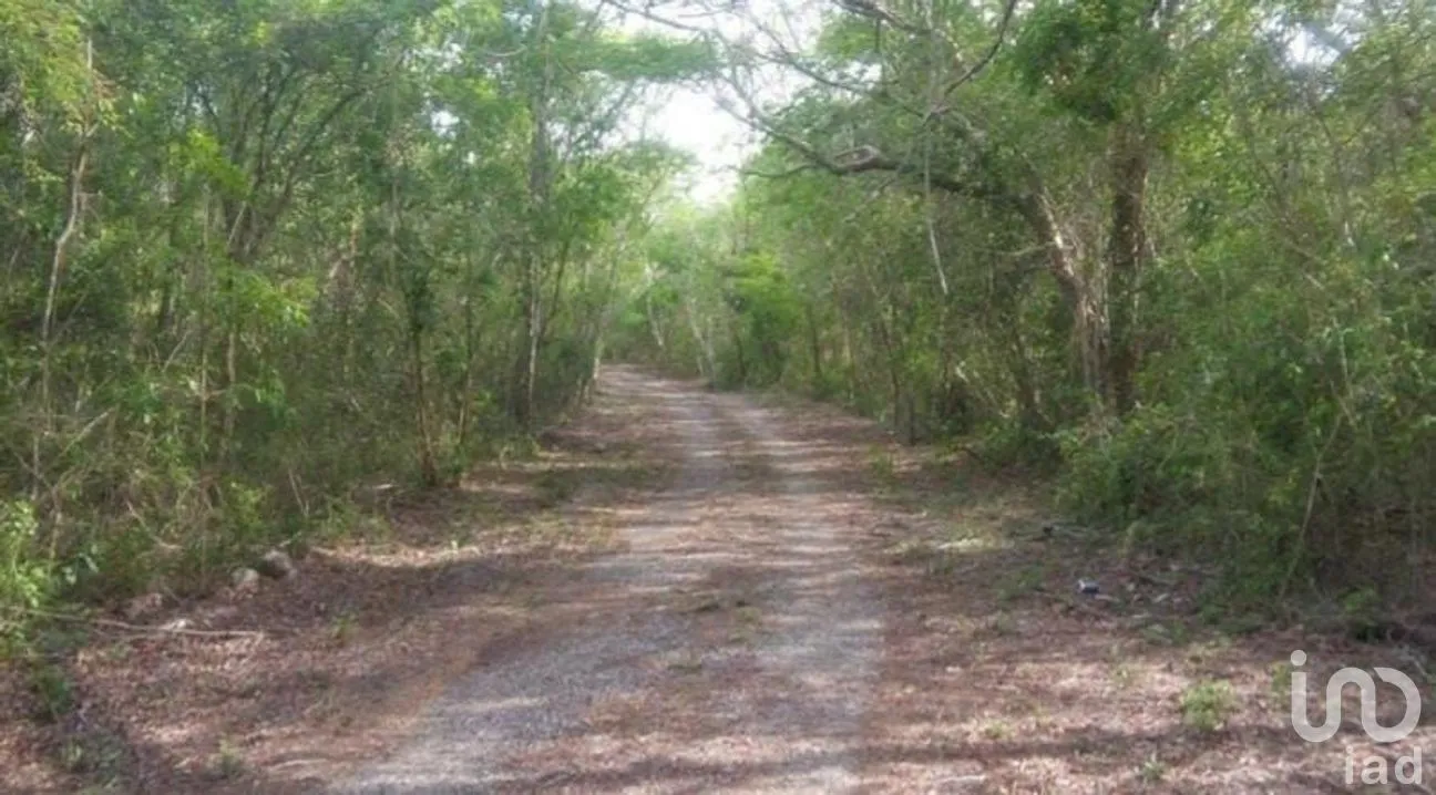 Terreno en Venta en Santa Rosa, Tunkás, Yucatán | NEX-275251 | iad México | Foto 4 de 7