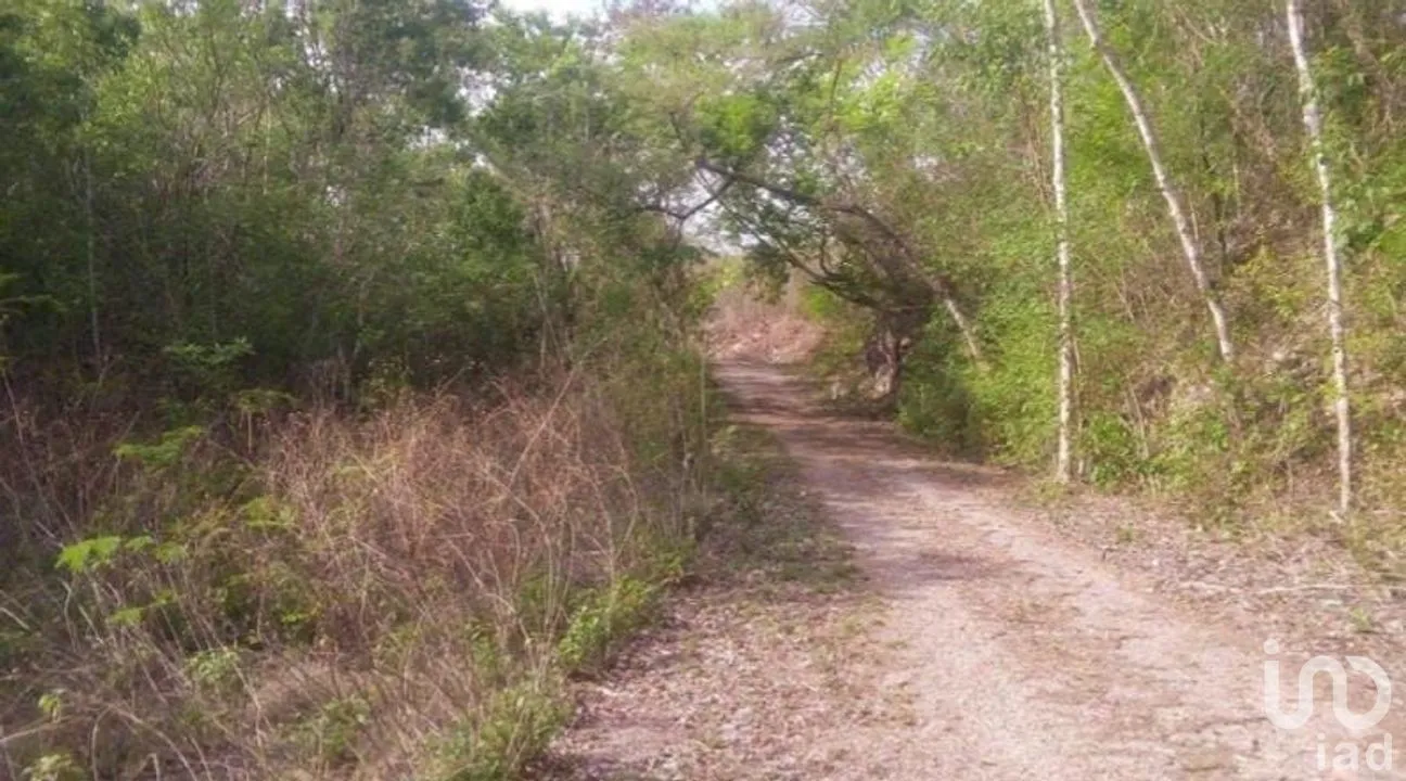Terreno en Venta en Santa Rosa, Tunkás, Yucatán | NEX-275251 | iad México | Foto 6 de 7