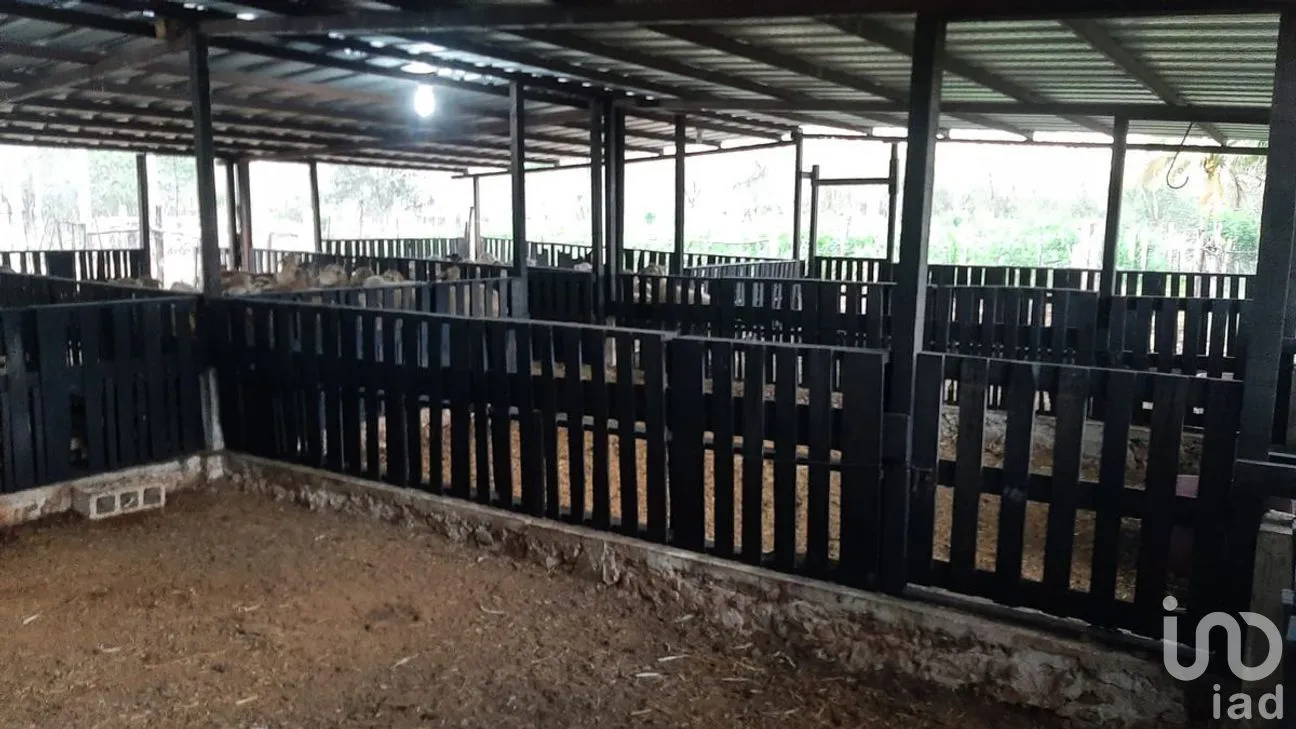 Terreno en Venta en Tetiz, Tetiz, Yucatán | NEX-275257 | iad México | Foto 6 de 8