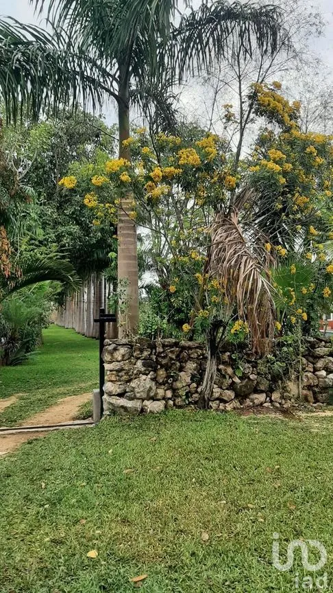 Terreno en Venta en Tetiz, Tetiz, Yucatán | NEX-275257 | iad México | Foto 7 de 8