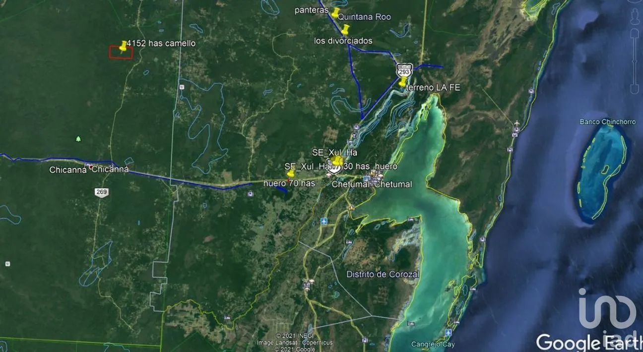Terreno en Venta en Xpujil, Calakmul, Campeche | NEX-275262 | iad México | Foto 13 de 19