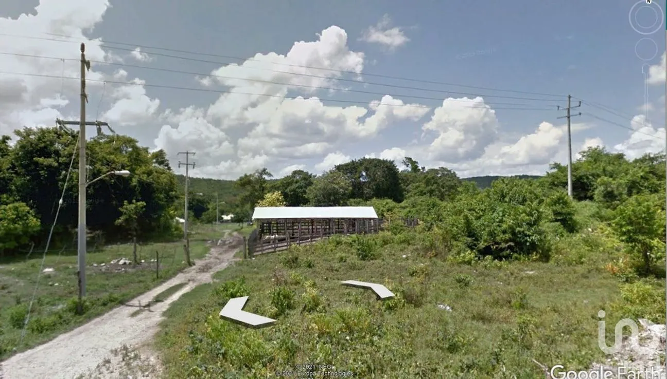 Terreno en Venta en Xpujil, Calakmul, Campeche | NEX-275262 | iad México | Foto 4 de 19