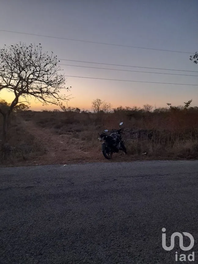 Terreno en Venta en Izamal, Izamal, Yucatán | NEX-275263 | iad México | Foto 2 de 6