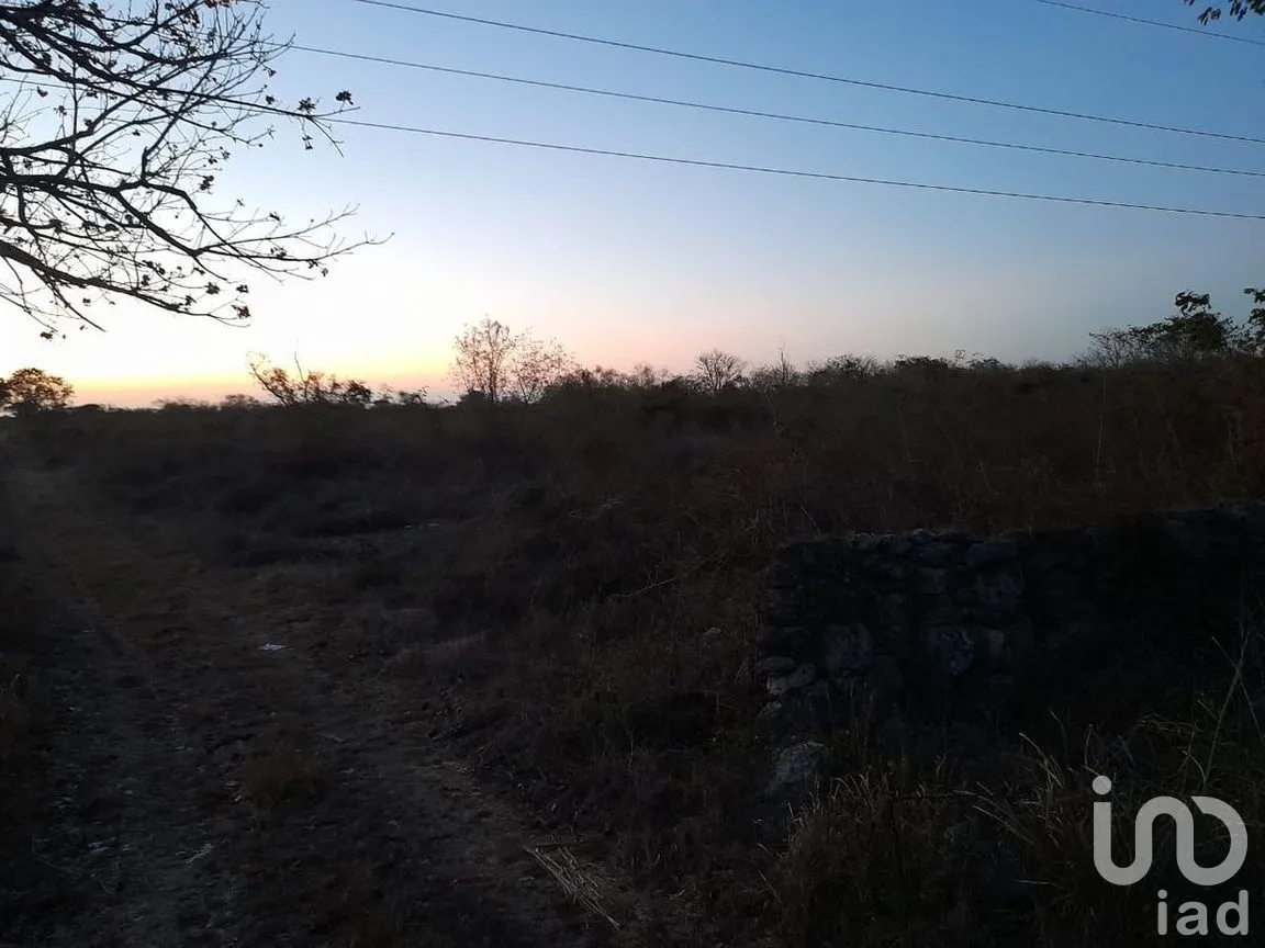 Terreno en Venta en Izamal, Izamal, Yucatán | NEX-275263 | iad México | Foto 1 de 6