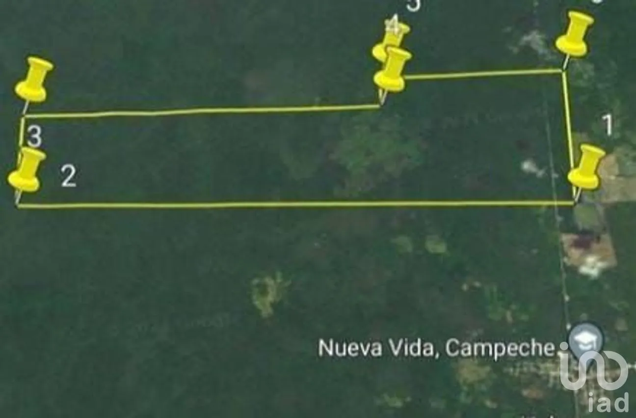 Terreno en Venta en Xpujil, Calakmul, Campeche | NEX-275265 | iad México | Foto 11 de 11
