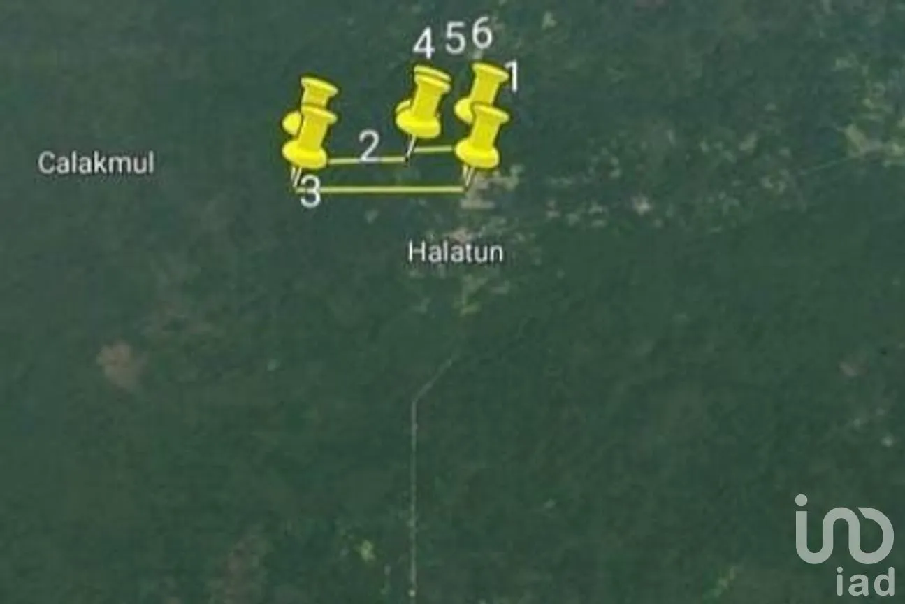 Terreno en Venta en Xpujil, Calakmul, Campeche | NEX-275265 | iad México | Foto 8 de 11